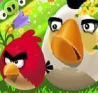 Passeio dos Angry Birds