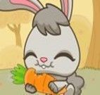 Ajude o coelho a comer as cenouras