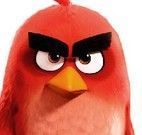 Diferenças Angry Birds