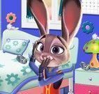 Judy arrumar quarto