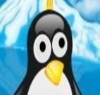 Peixes para o pinguim