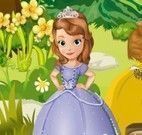 Princesa Sofia caçar abelhas