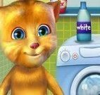 Gato virtual lavar roupas