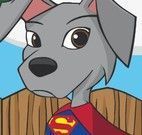 Vestir cachorro Super Herói