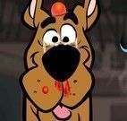 Scooby Doo no médico