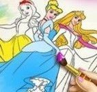 Pinatr livro das princesas