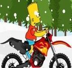 Andar de bicicleta com Bart
