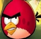 Angry Birds no labirinto