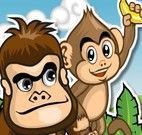 Pegar banana dos macacos