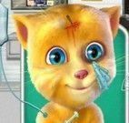 Cuidar do gato virtual na ambulância