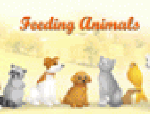 Alimentando os animais
