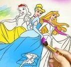 Pintar livro das princesas