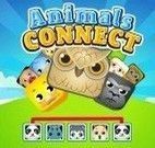 Conectar os animais