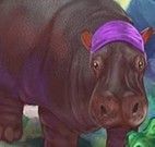 Cuidar do hipopótamo