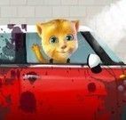 Limpar carro do gatinho