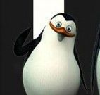 Erros pinguins de Madagascar
