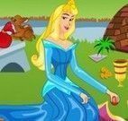 Princesa Aurora limpar piquenique