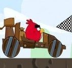 Corrida dos Angry Birds
