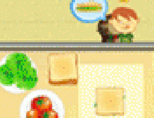 Fazendo Sandu&iacute;che