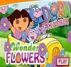 Flores da Dora