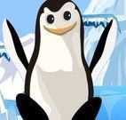 Jogos de Pinguim Aventura