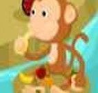 Macaco quer banana