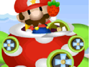 Mario defendendo o território