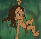 Tarzan na Selva