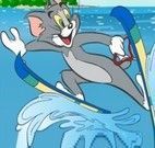 Tom e Jerry Windsurf