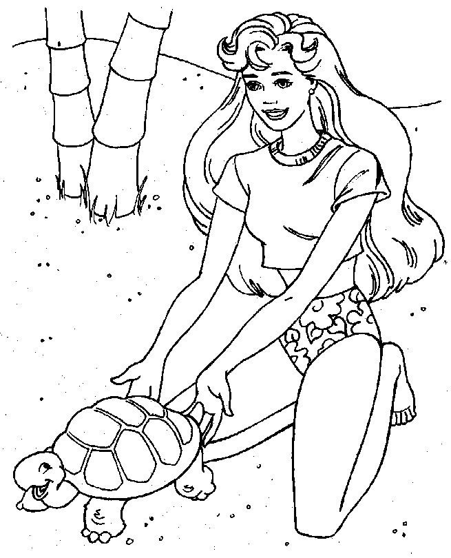 barbie e a tartaruga